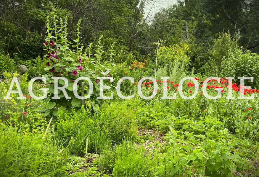 agroecolo